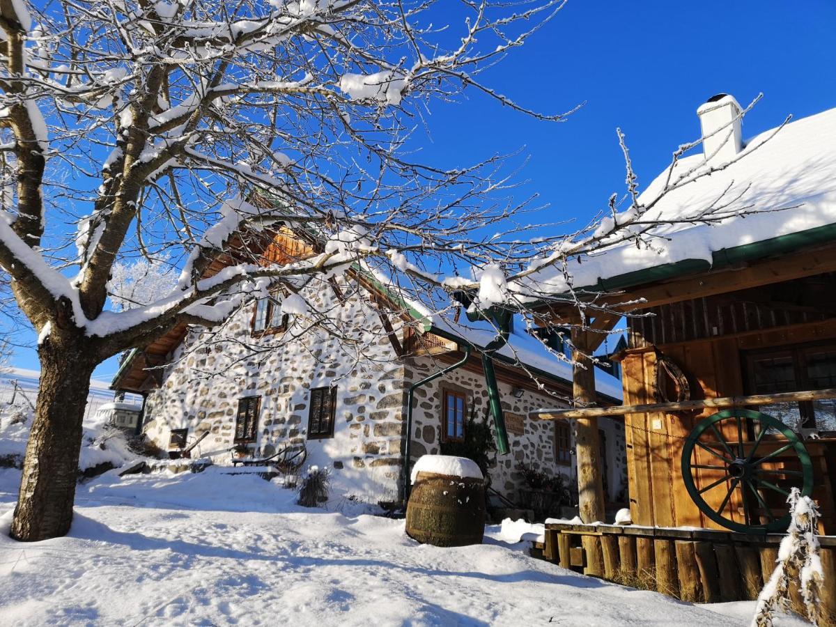Ferienhaus Friedlhof Langschlag  Exteriör bild
